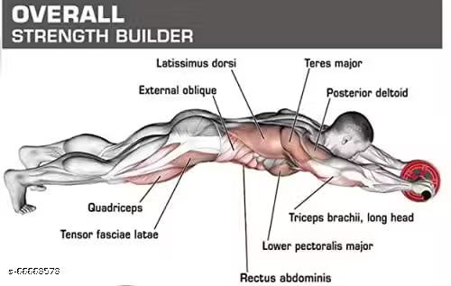 Double Toning Resistance Tube, Heavy Tummy Trimmer , Pushup bar And Ab roller Resistance Tube